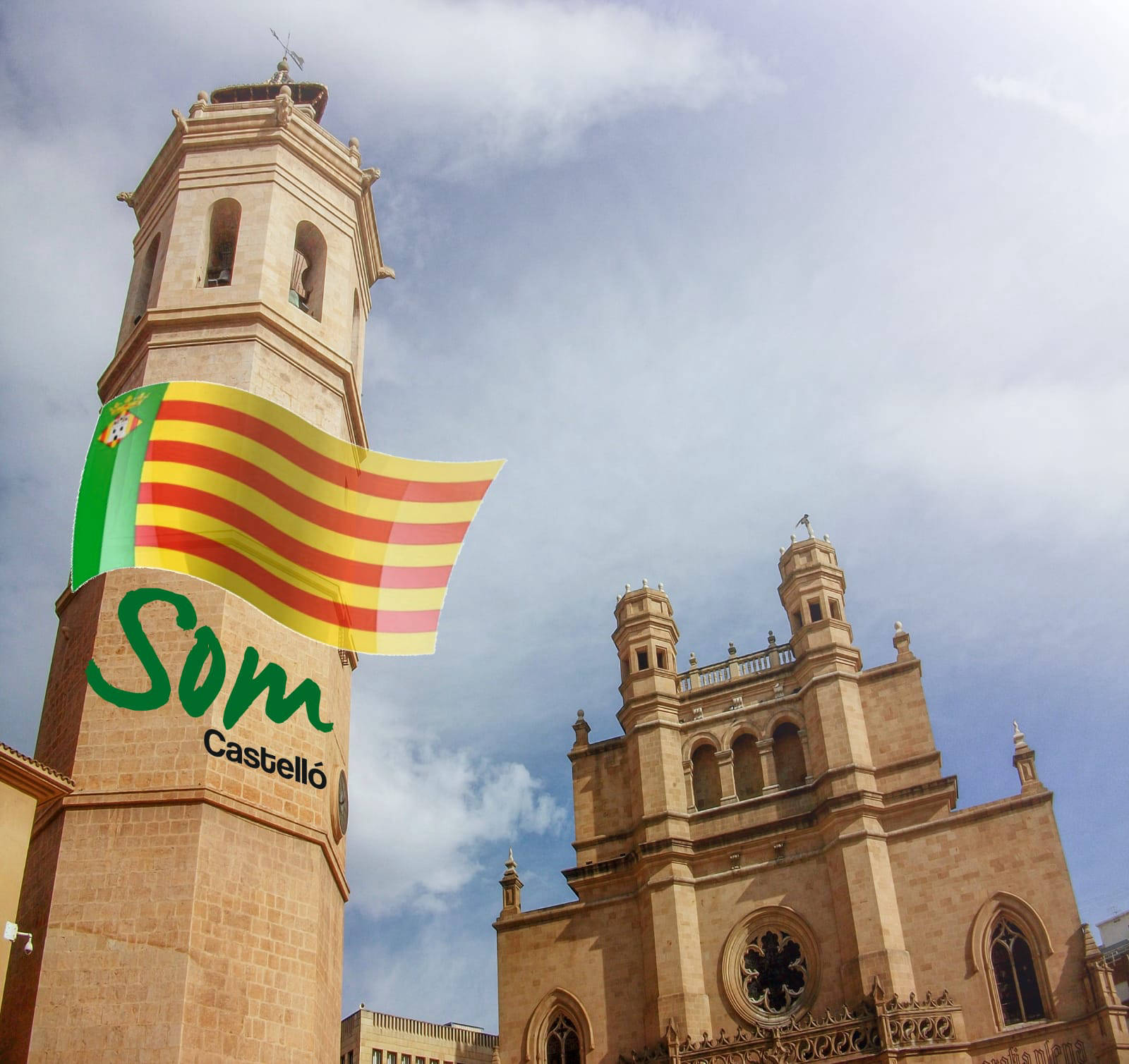 SOM